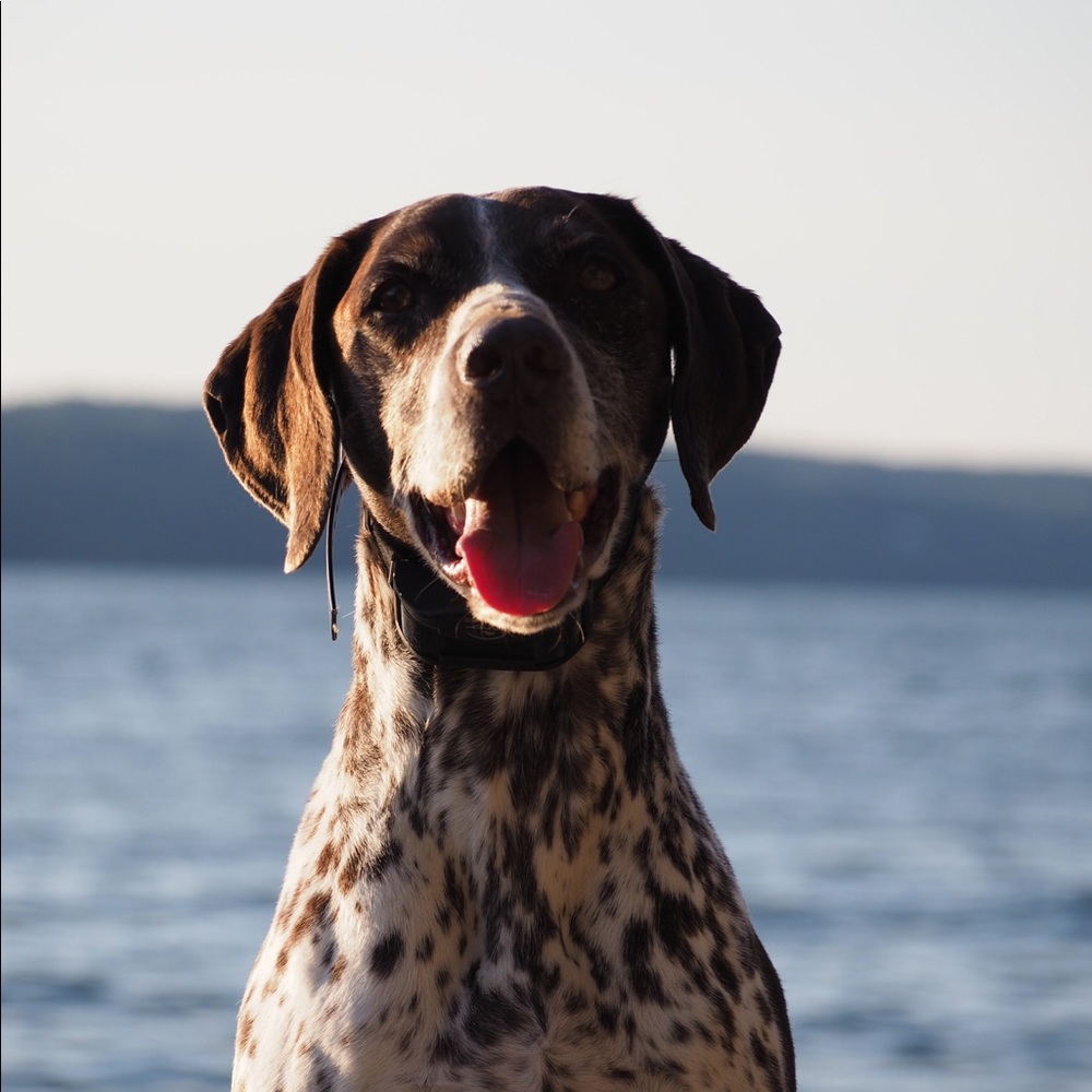 Meet your Posher, Corra